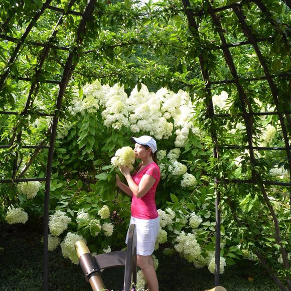 Meet your Posher, Svetlana - Picture 1 of 1